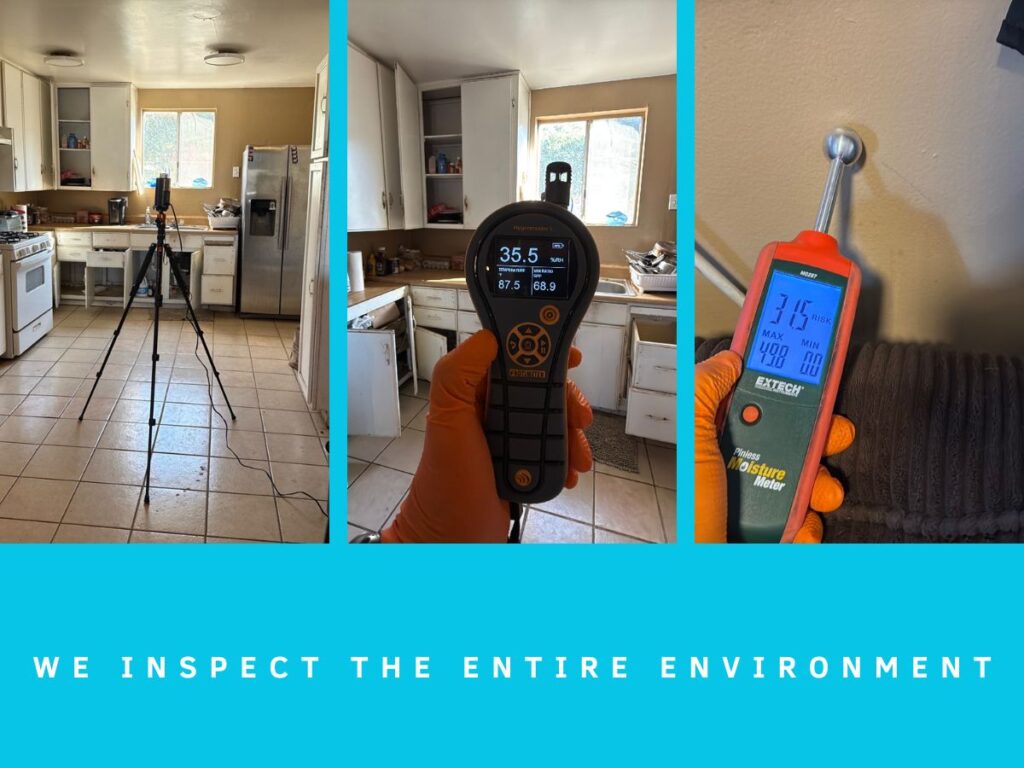 Professional mold inspection equipment including air sampling pump, moisture meter, and psychrometer