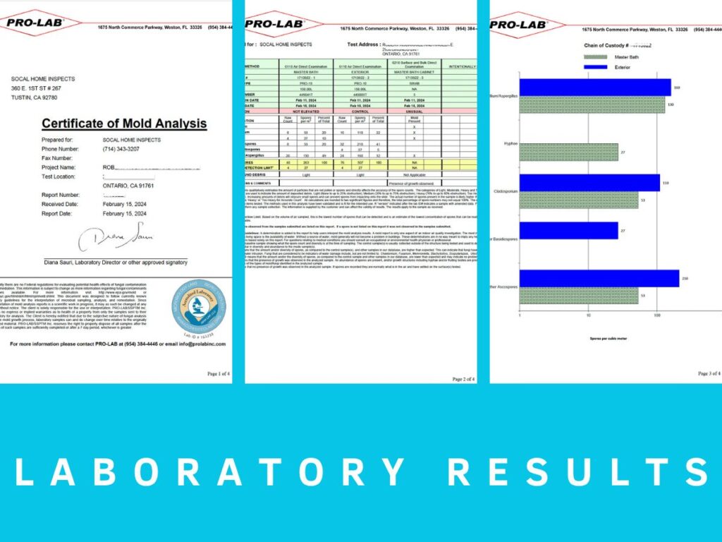 Accredited laboratory mold analysis report and test results