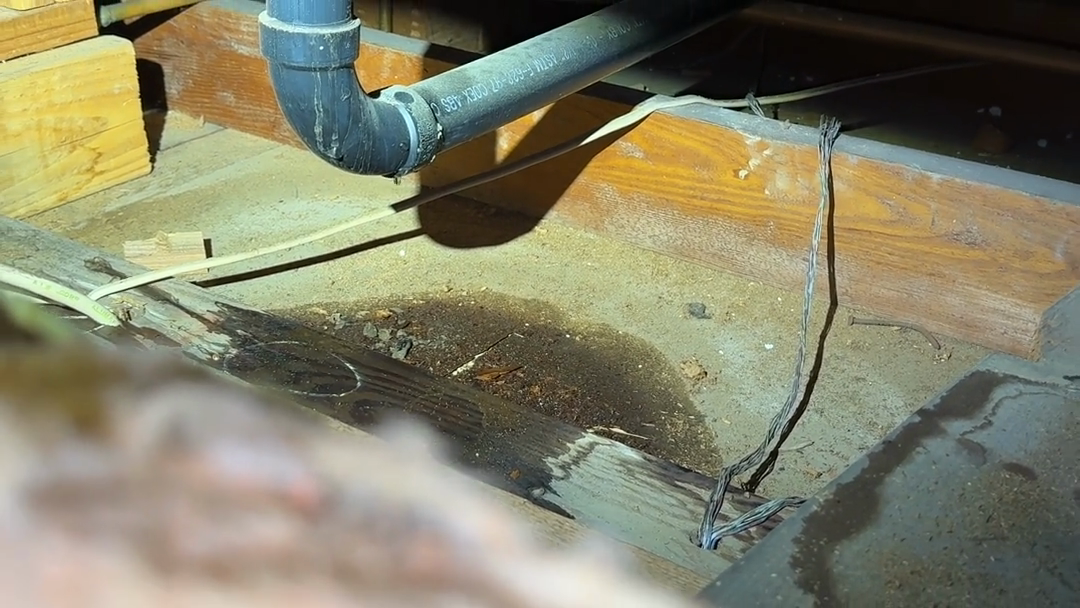 Water dripping from an attic plumbing pipe onto a stained surface below