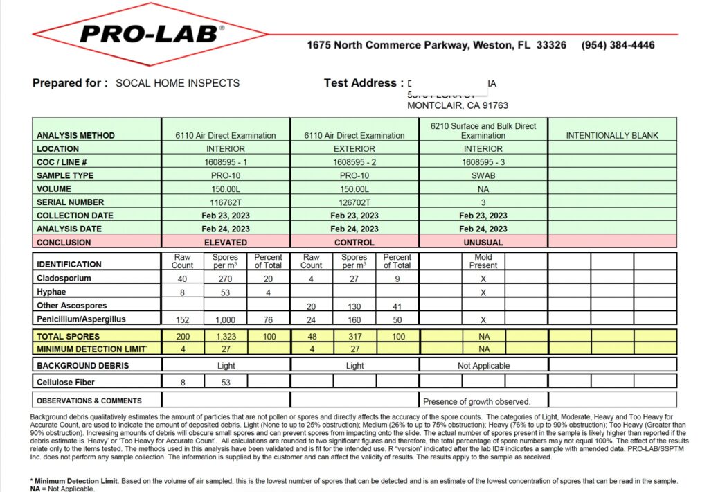 Laboratory report showing an elevated interior air result and mold present in the wall swab