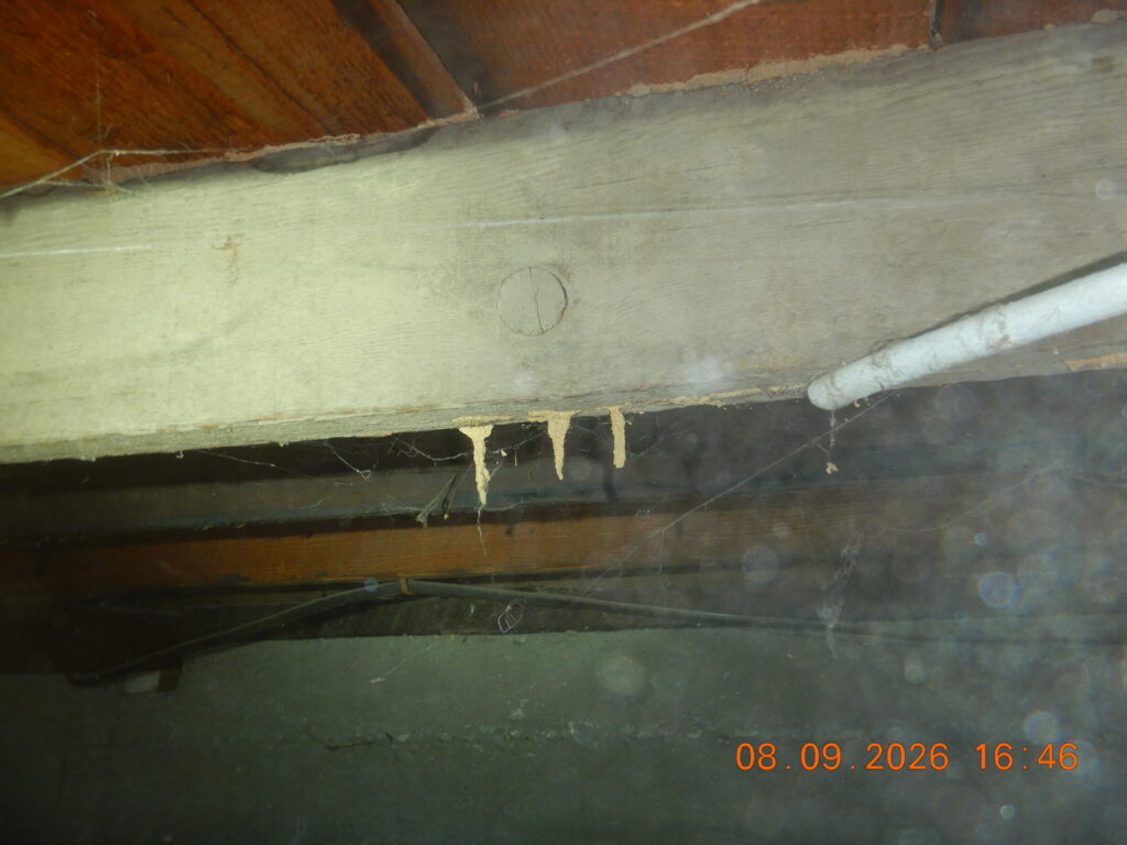 Termite mud tubes observed in a crawlspace during a home inspection