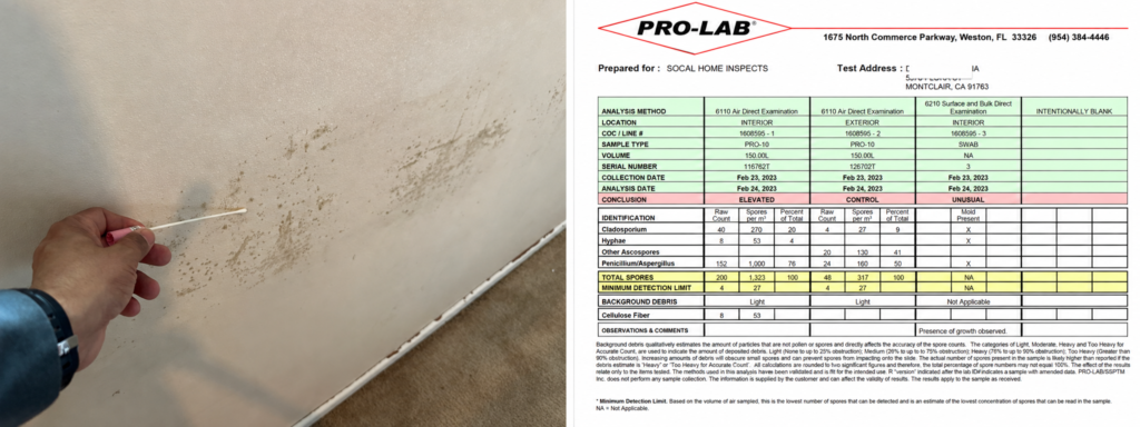 Wall being swabbed for suspected growth beside laboratory results showing an elevated interior air sample and mold present on the swab