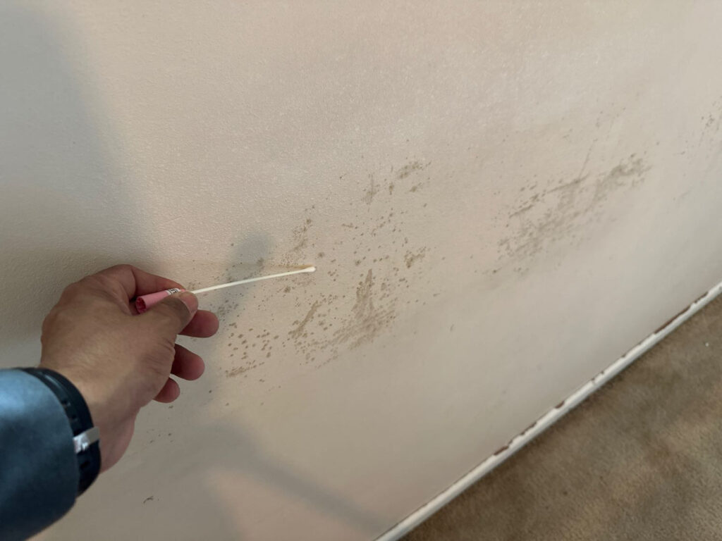 Hand collecting a swab from suspected growth on an interior wall